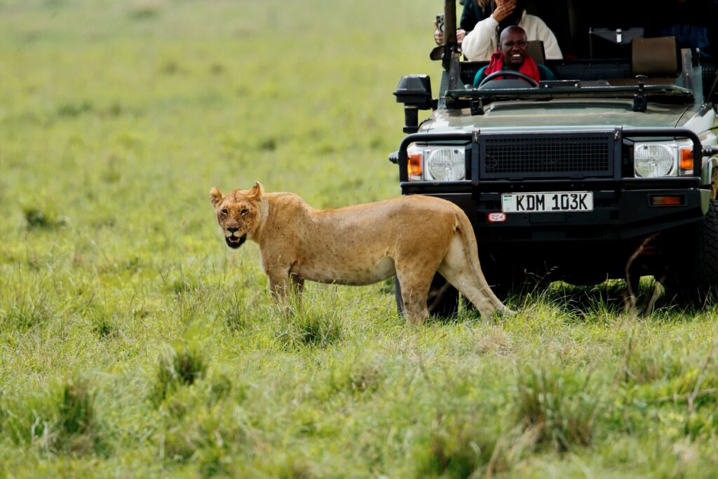 Masai Mara