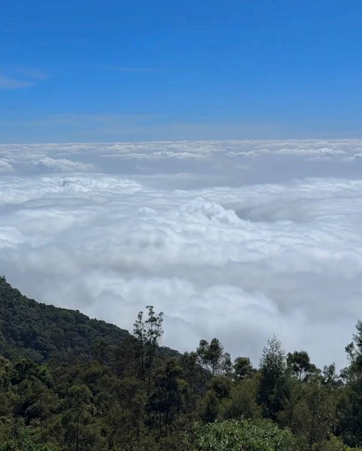 Moir Point Kodaikanal