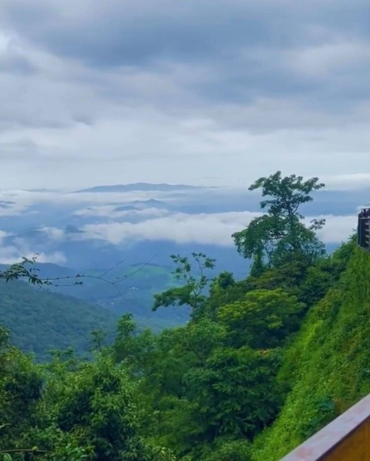 Lakkidi View Point Wayanad