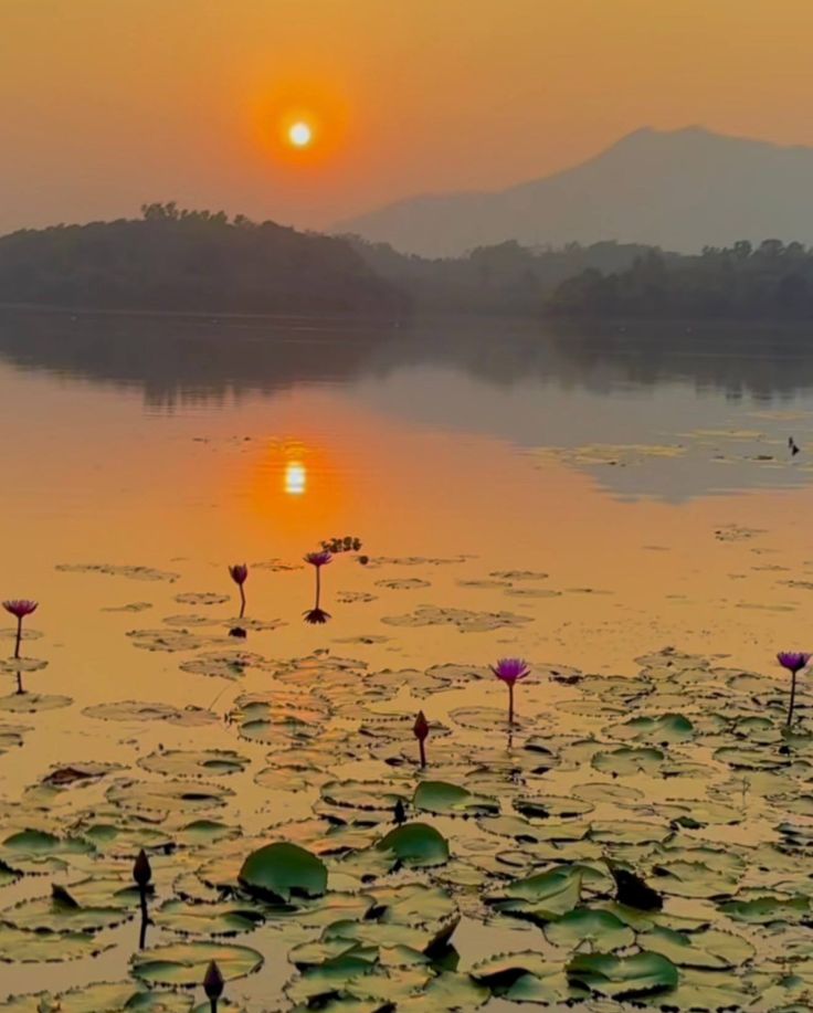 Cheengeri Hills Wayanad