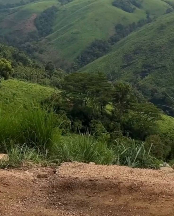 Justin View Point Vagamon