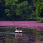 Kuruwadeep Island Wayanad