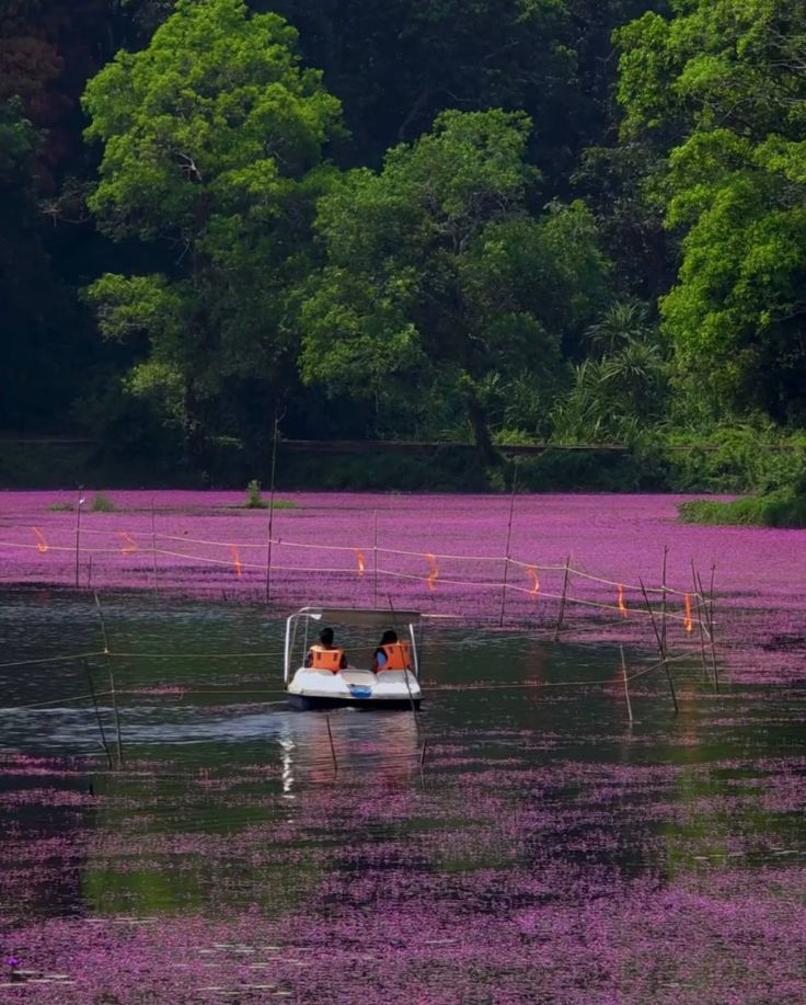 Kuruwadeep Island Wayanad