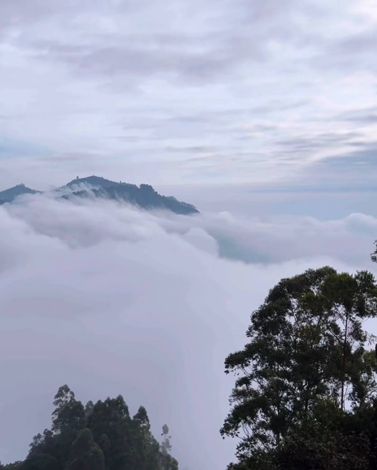 City Viewpoint Kodaikanal