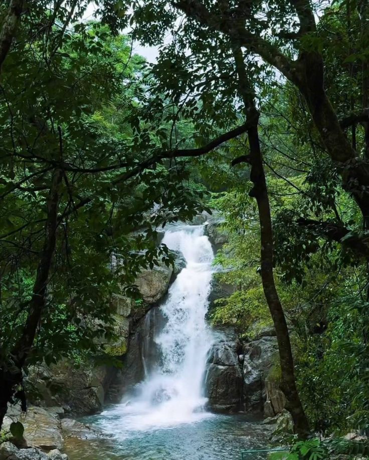 Meenamutty Water fall Wayanad