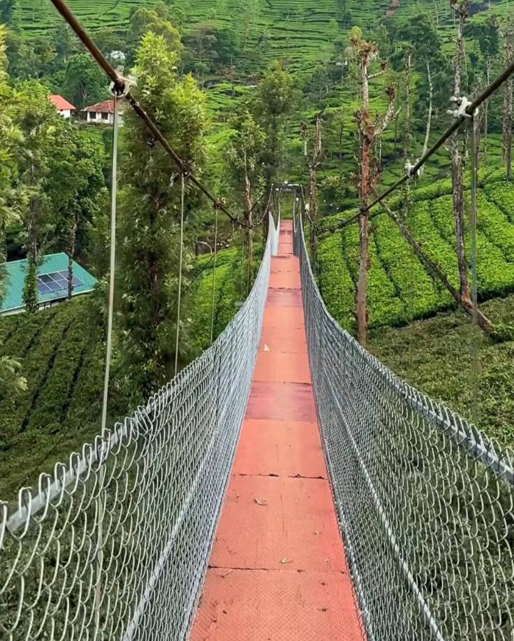 Meppadi Hanging Bridge Wayanad